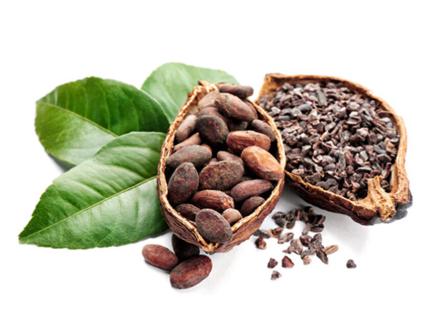 articulo-cacao-foto1-696×483
